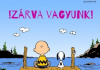 ic-small-w100h100q100-zarva-1